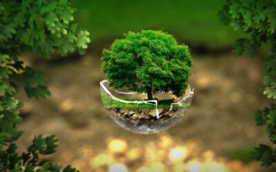 Essential Guide for Eco-Friendly Car Rentals in 2024