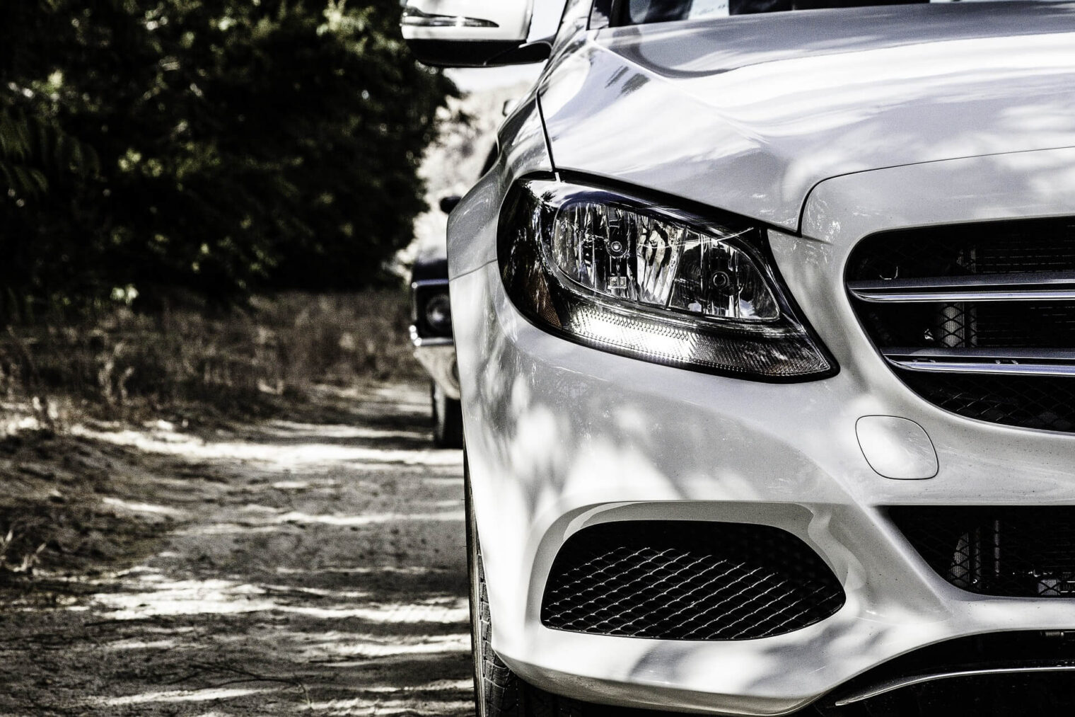 Car Rental for Eco-Friendly Travel in 2024