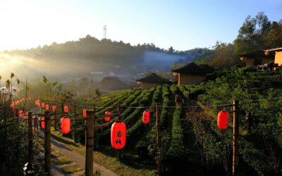 Exploring Chiang Mai by Rental Car in 2024