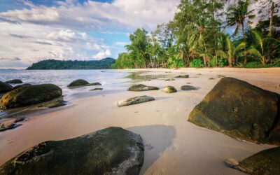 Driving from Pattaya to Koh Samui in a Rental Car in 2024