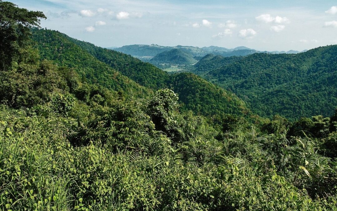National Parks in Thailand