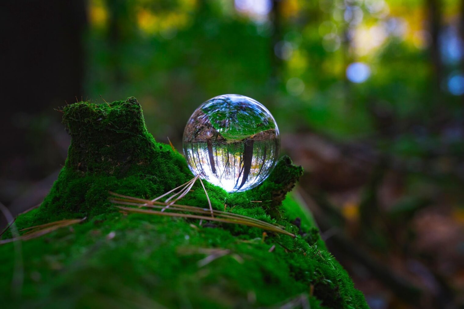 Eco-friendly travel in Thailand in 2025