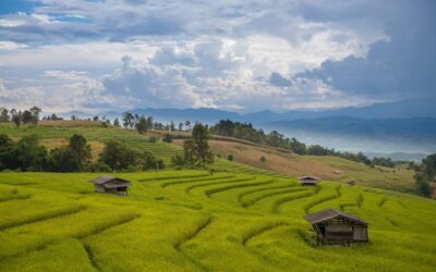 Top 5 Road Trip Destinations in Thailand You Can’t Miss