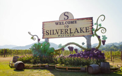 Driving to Silverlake Vineyard: Best Rental Car Routes from Pattaya