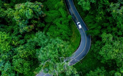How To Choose The Best Car For Mountain Roads, Islands, Or Cities In Thailand