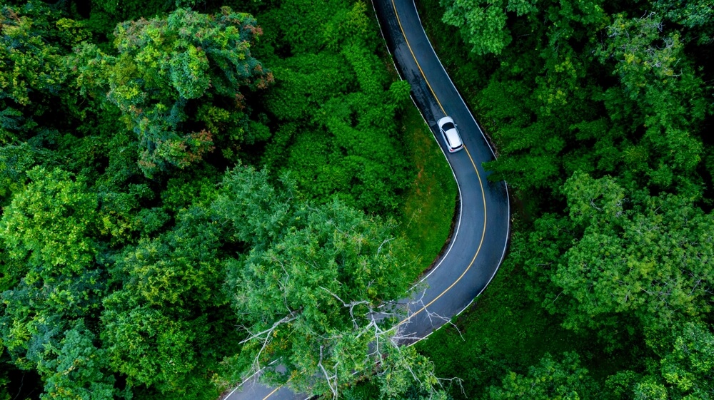 Best Car For Mountain Roads