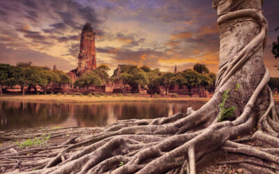 A Rental Car Guide For Exploring Thailand’s National Heritage Sites