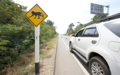 Thailand Driving Hazards To Watch For In 2025 – Rental Car Safety Tips