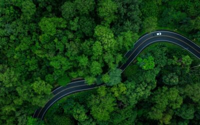 Driving Thailand’s Rainforest Roads: Self-Drive Adventures in 2025