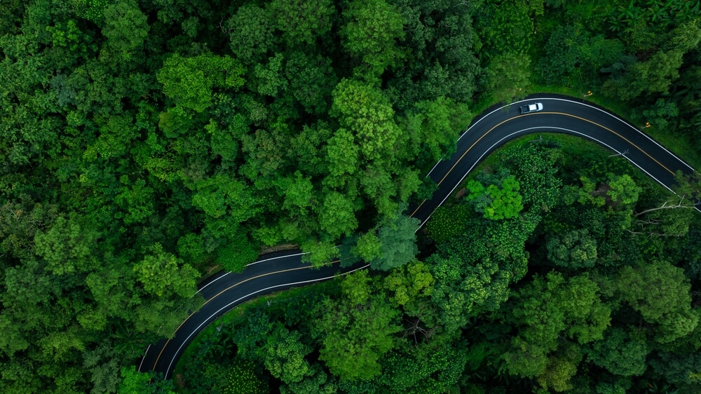 Driving Thailand’s Rainforest Roads: Self-Drive Adventures in 2025