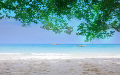 Pattaya To Rayong By Car Hire: The Ultimate Coastal Mini-Adventure