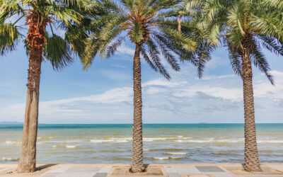 The Pattaya Road Trip Triangle: Pattaya → Rayong → Sri Racha